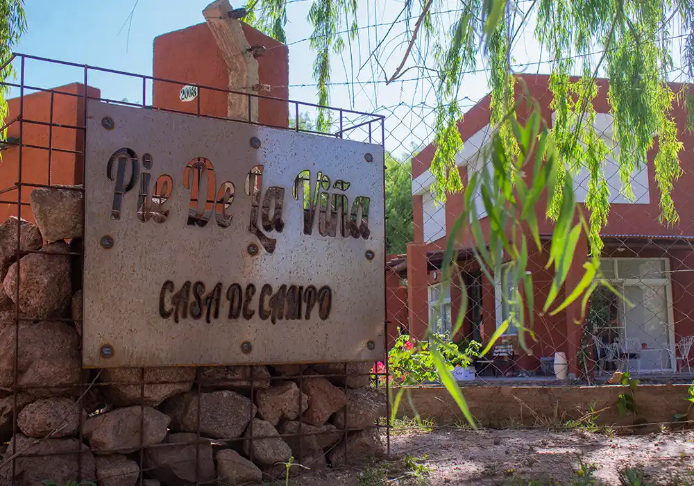 Pie de la Viña en Sanagasta